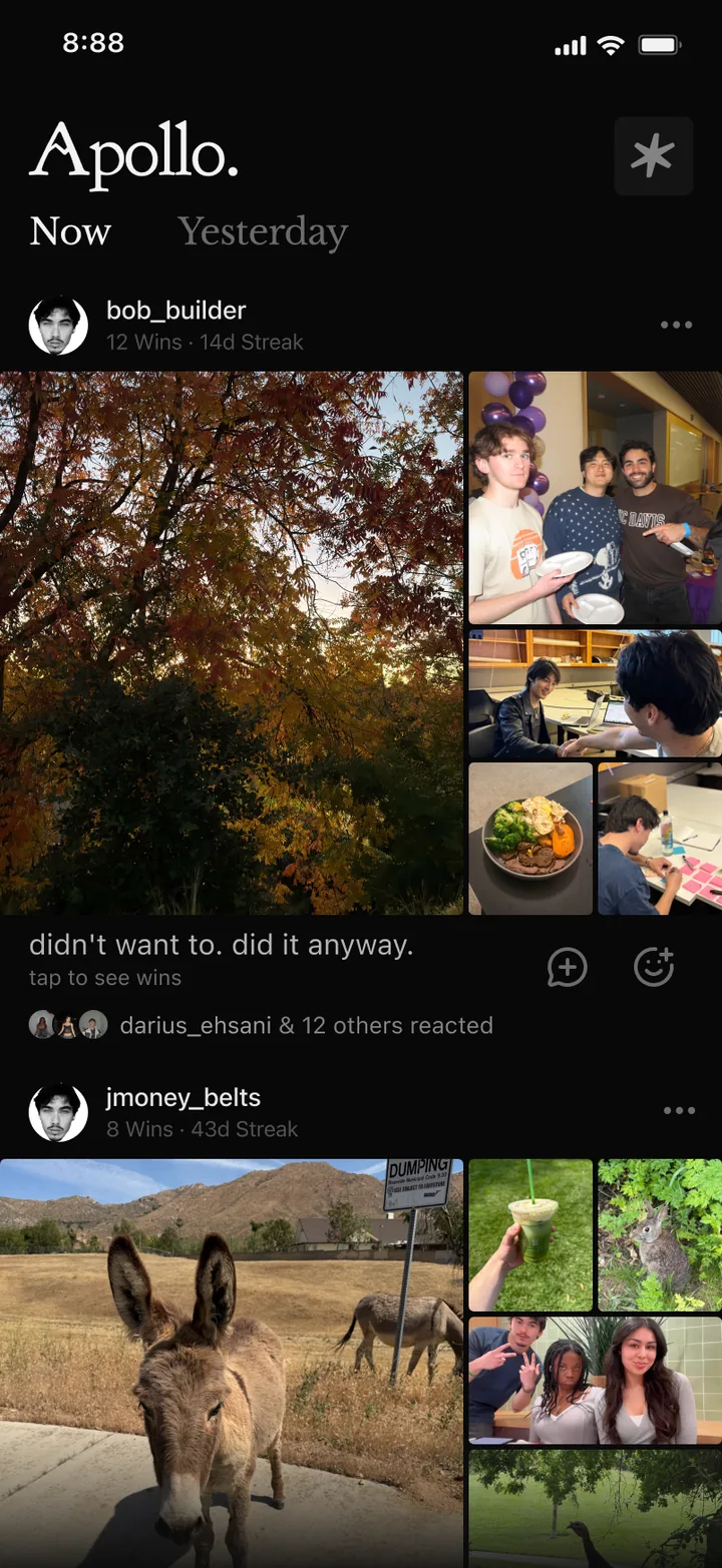 The feed, before