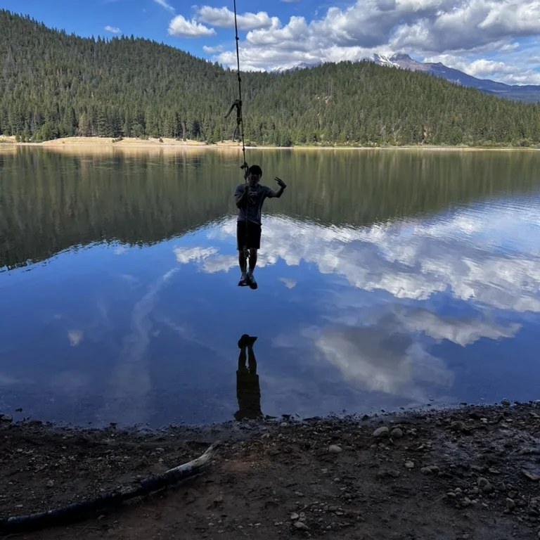 A rope swing over a still mountain lake ringed by pine forest.